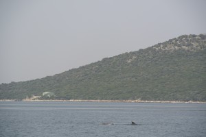 ambrakischer golf 010