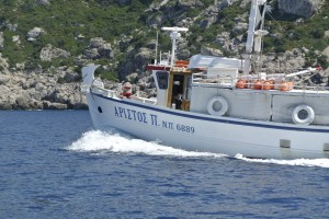 assos bis efimia 008