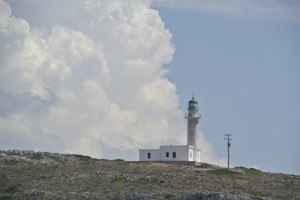 assos bis efimia 011