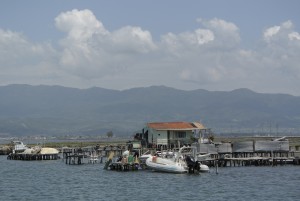 messolonghi - petalas 038