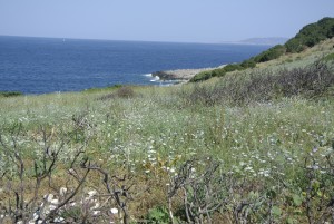 navarinou bucht etc 004