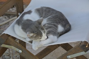 karnagio bis bucht bei vathi 093