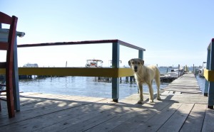 bis messolonghi 2. tag 023