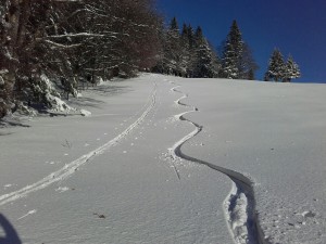 20151129_084424_resized_1