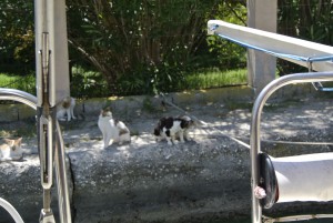 korfu parga preveza bis vasiliki 027