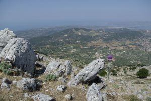 bis kato katelios 048