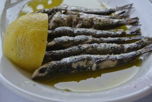 bis kato katelios 102